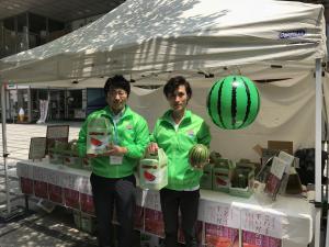 こだますいか写真 『こだますいか写真』の画像