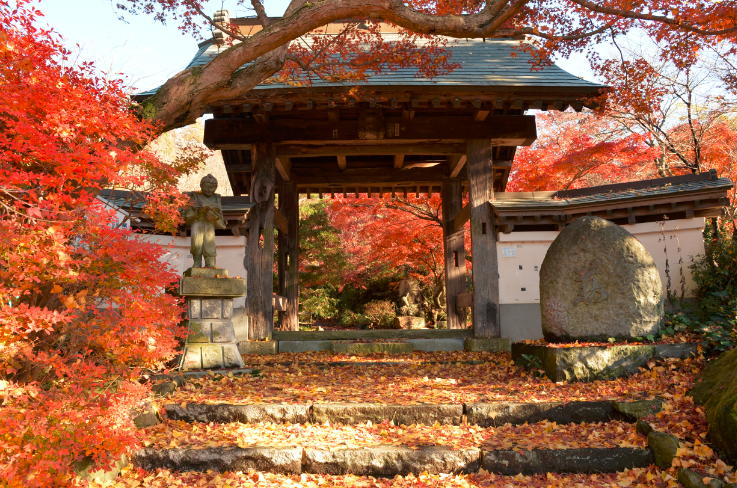 曛静山薬王寺