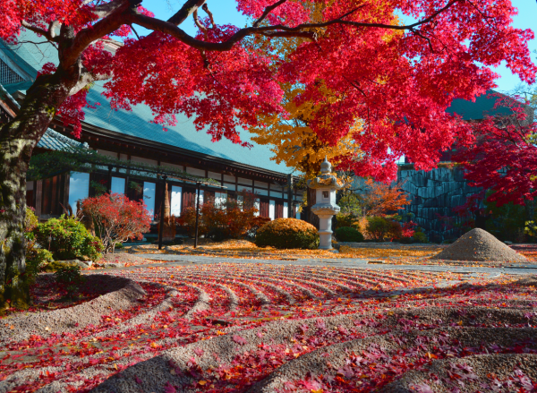 月山寺　紅葉