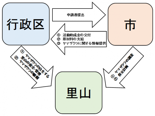 桜の里づくり支援事業　フロー