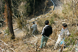 桜の里づくり事業(2)