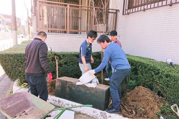 駐日モンゴル国大使館にヤマザクラを植樹