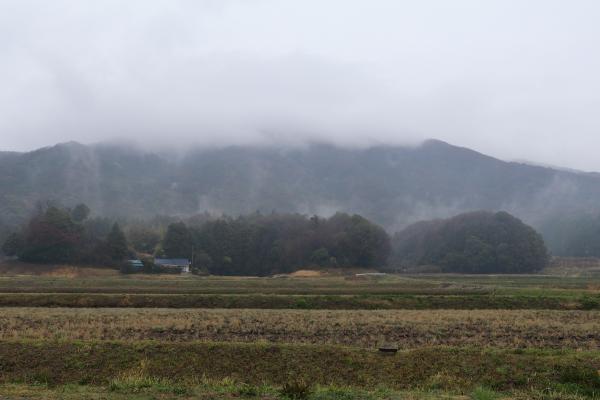 池亀地区0404