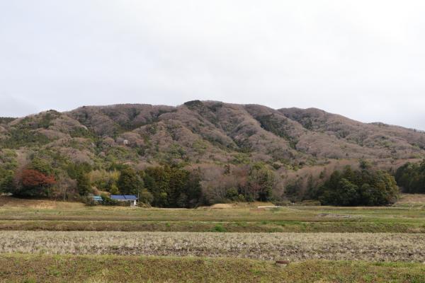 池亀地区0405