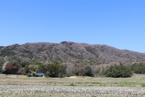 池亀地区0408