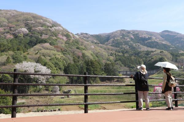 平沢地区0411