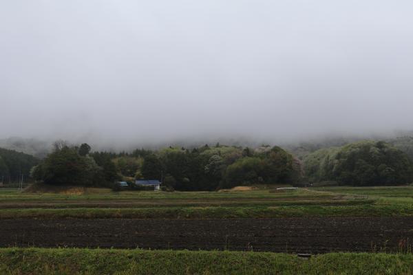 池亀地区0415