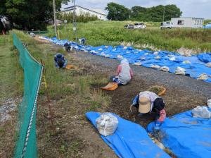 調査区内　除草作業