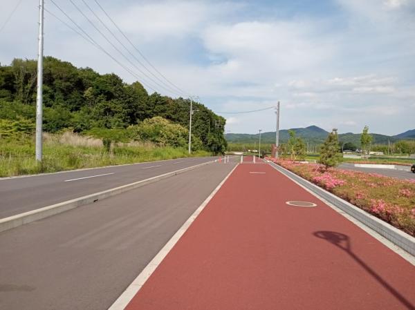 外周園路