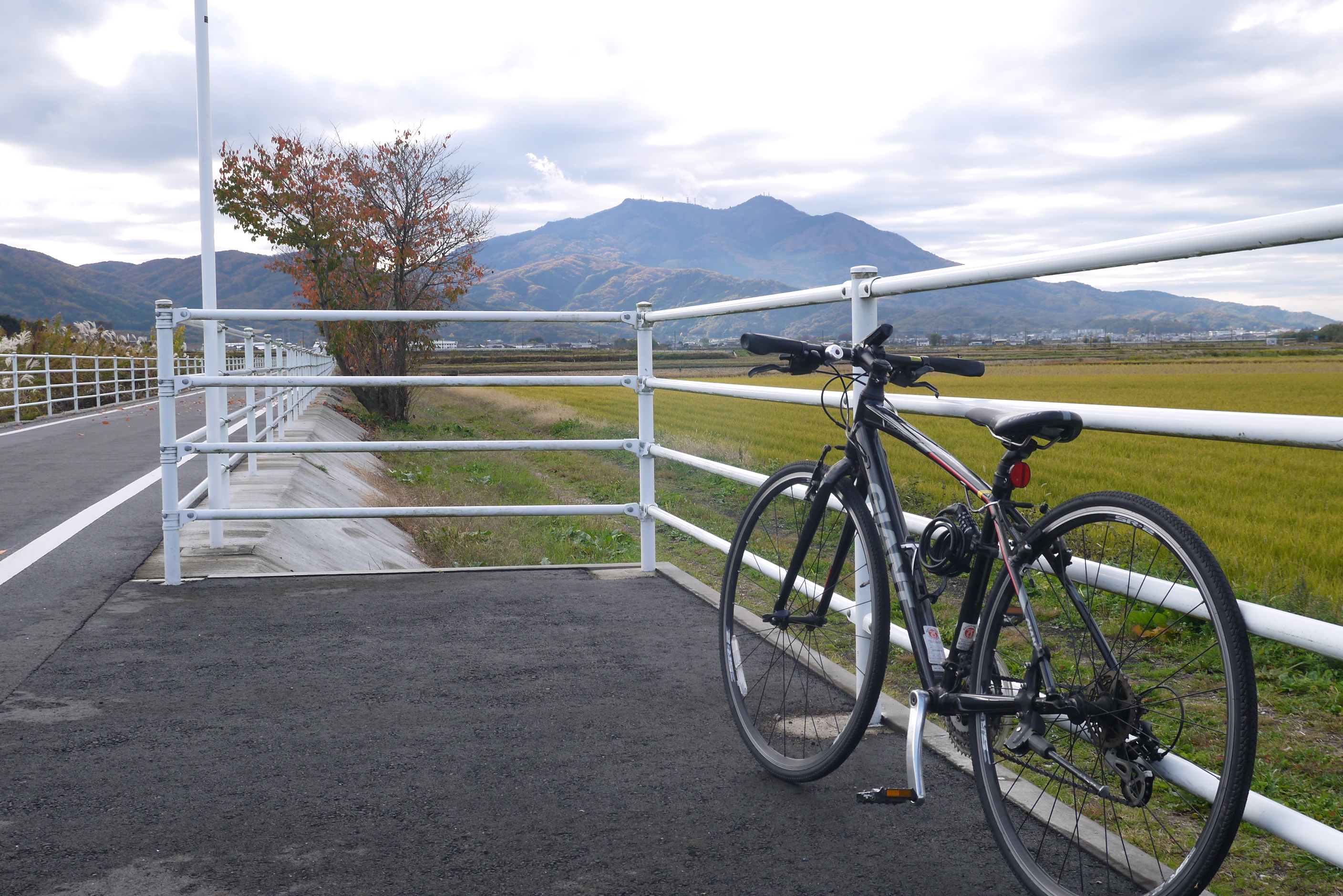 フォトサイクリング(1)