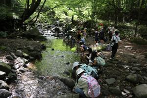 サマーキャンプ（沢遊び）