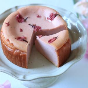 桜のチーズケーキ