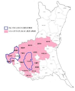 カミキリムシ地図
