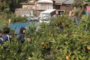 総合的な探求　岩瀬高校1年生　5