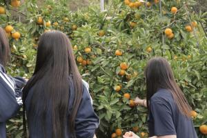 総合的な探求　岩瀬高校1年生　6