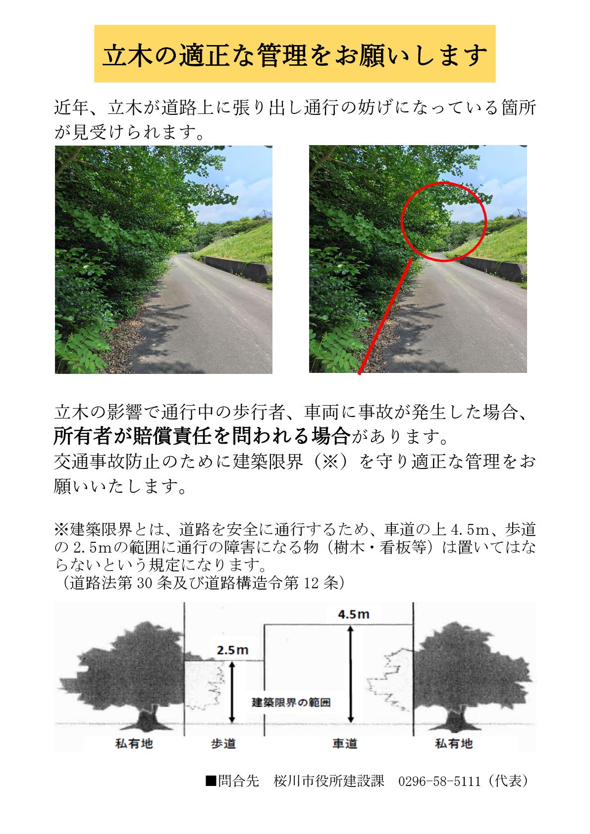 立木の管理について