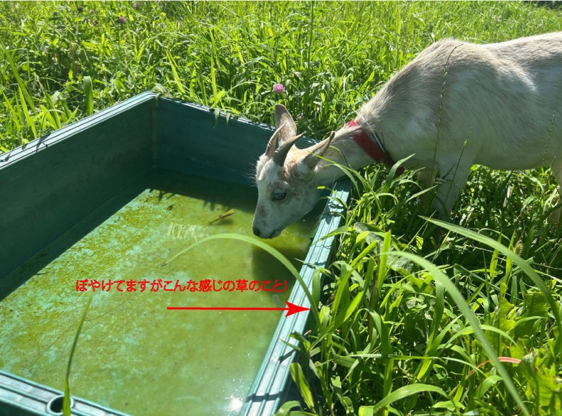 サンプル画像1