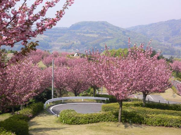 富谷山ふれあい公園