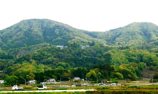 画像:雨引山