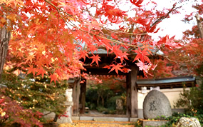 桜川市観光協会のページ