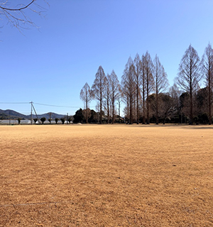 オートキャンプ5