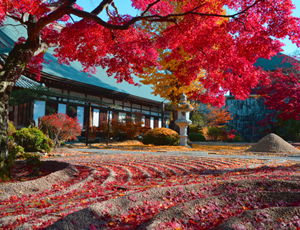 曜光山月山寺