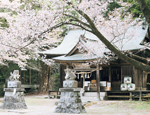 櫻川磯部稲村神社