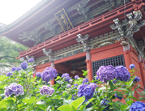 雨引山楽法寺（雨引観音）