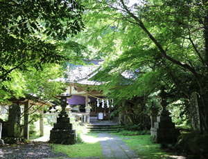 五所駒瀧神社