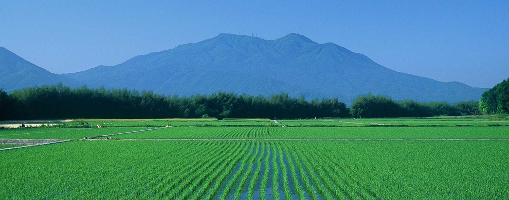 筑波山